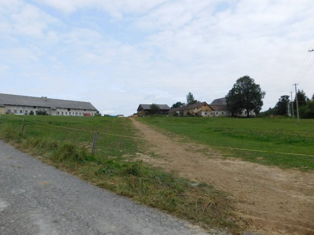 DSCN3616